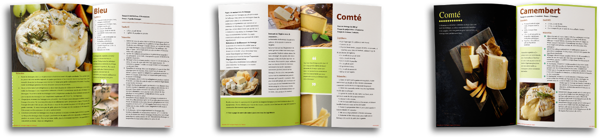 7 recettes de cuisine pour fabriquer des fromages vegan : bleu, camembert, comté